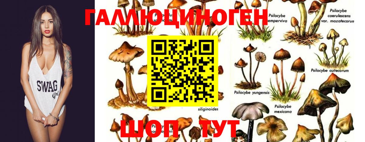 Галлюциногенные грибы Magic Shrooms Пенза